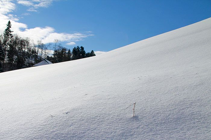 Winterlandschaft mit Schneefeld und blauem Himmel