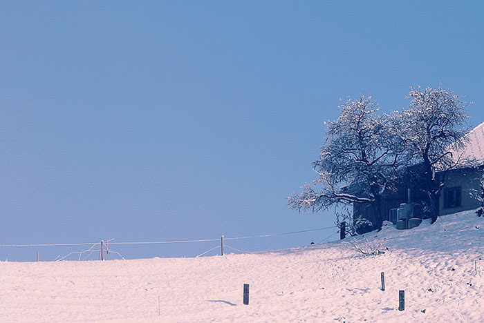 Winterlandschaft mit Haus und zwei Bäumen